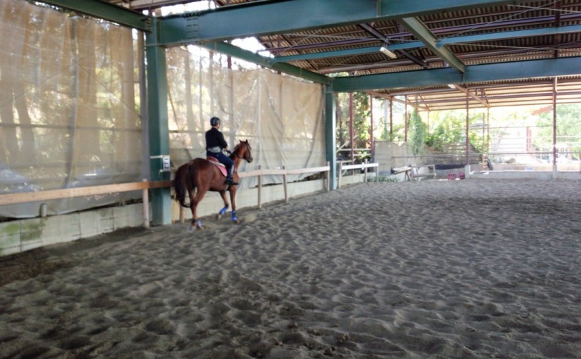 ミドルクラスレッスン（愛知県・名古屋市・O様）