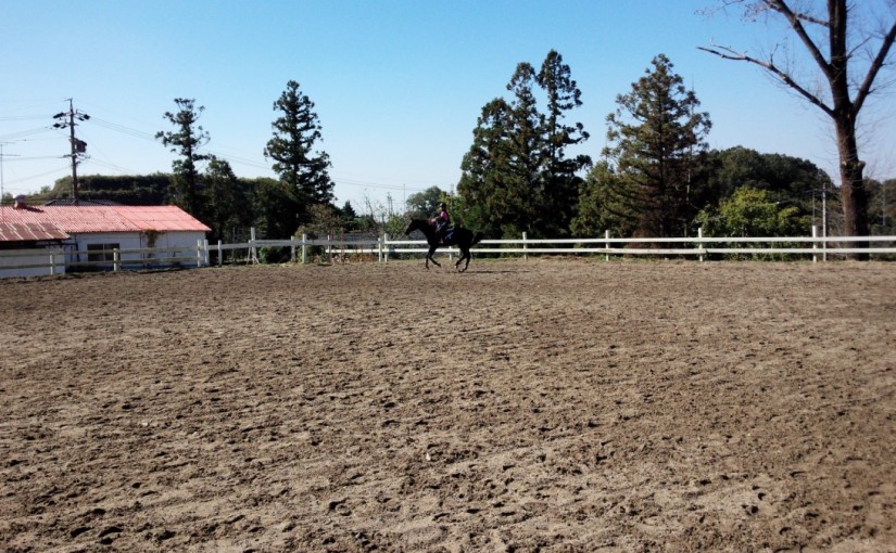 初級ジャンプレッスン（愛知県・名古屋市・Ｋ様）