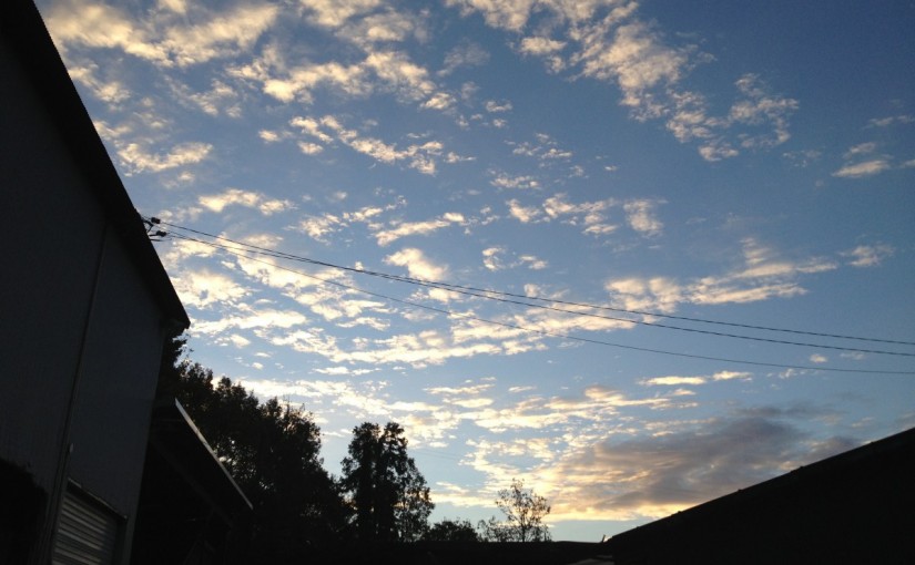 中級ジャンプレッスンにてライン障害の練習をしました！(愛知県安城市/Ｙ様)
