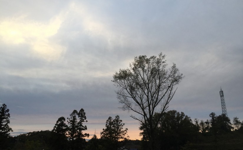 乗馬体験ハーフデイコースを行いました　（ 愛知県安城市／K様）