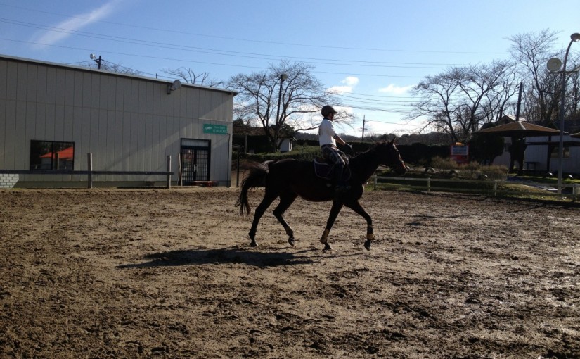 ～乗馬クラブの日々～駈歩での輪乗りの練習をしました！(愛知県名古屋市/Y様)