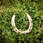 愛知の乗馬の日々☆彡 ホースフェスタに向けて!2(愛知県豊田市)