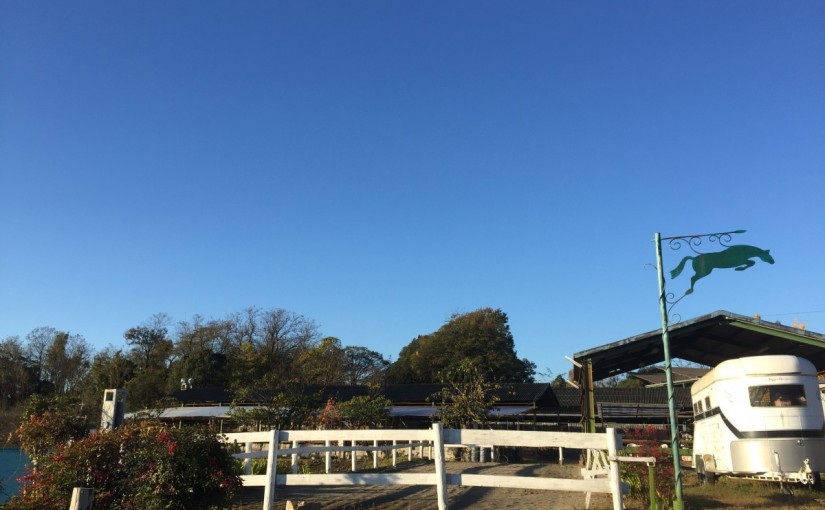 乗馬クラブで乗馬体験レッスン（速歩）を行いました　（ 愛知県岡崎市／Ｓ様）