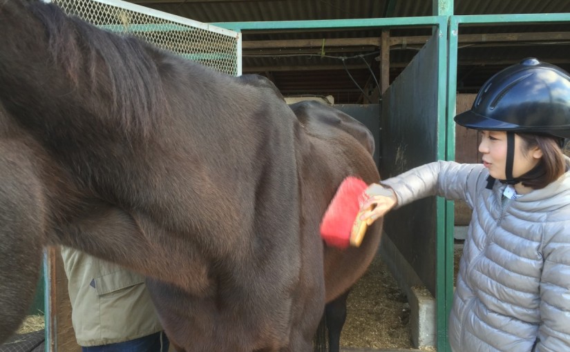 乗馬クラブで乗馬体験レッスン（速歩）を行いました　（ 愛知県豊田市／Ｓ様）