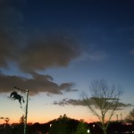 乗馬クラブの日々。乗馬体験から始められたN様に乗馬の魅力を伺いました(愛知県岡崎市・N様)