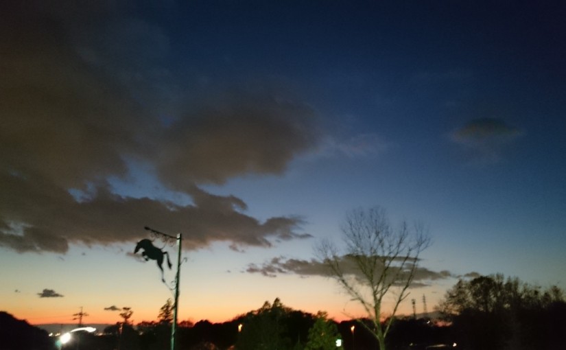 乗馬クラブの日々。乗馬体験から始められたＮ様に乗馬の魅力を伺いました（愛知県岡崎市・Ｎ様）