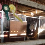 ～乗馬クラブの日々～A2課目の練習をしました！(愛知県名古屋市/Kちゃん)