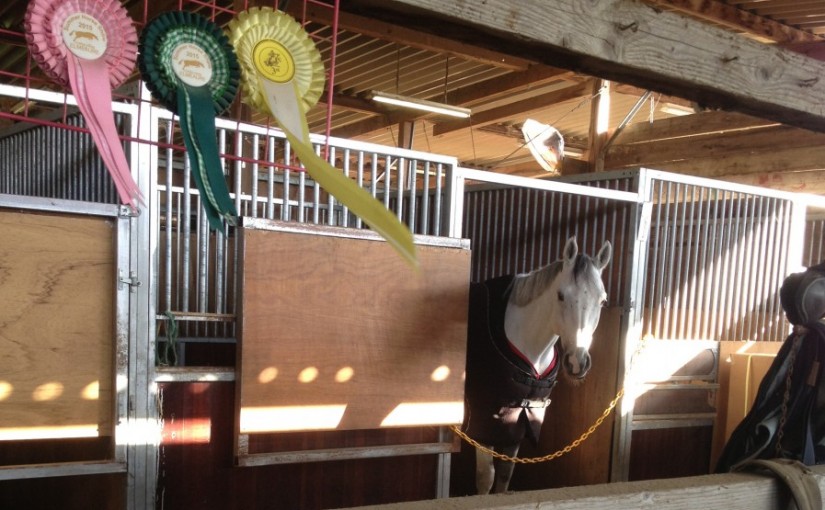 ～乗馬クラブの日々～A2課目の練習をしました！(愛知県名古屋市/Kちゃん)