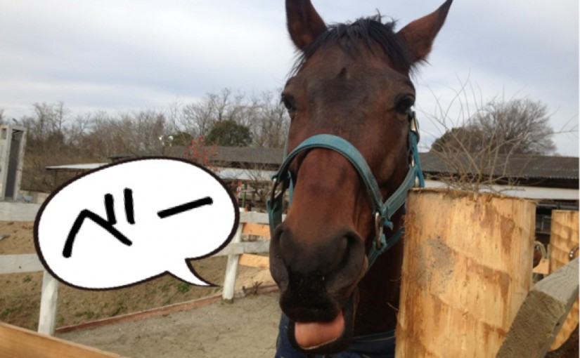 ～乗馬クラブの日々～適切なアプローチの練習をしました！(愛知県豊田市/N様)