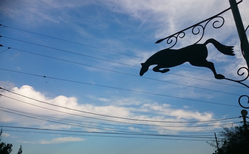 乗馬クラブの日々。初めての乗馬体験レッスンを行いました（愛知県豊田市・Ｙ様）