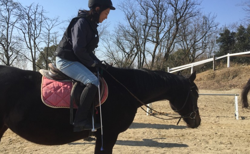 乗馬クラブの日々。乗馬体験スクール４回コースのレッスンを行いました（愛知県名古屋市・Ａ様）