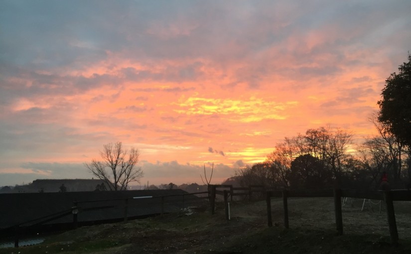 乗馬クラブの日々。乗馬体験から始められたＮ様に乗馬の魅力を伺いました（愛知県岡崎市・Ｎ様）
