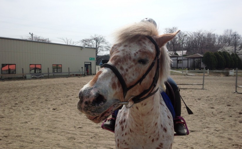 愛知県の乗馬日々☆彡　完歩の練習T様（愛知県豊田市）
