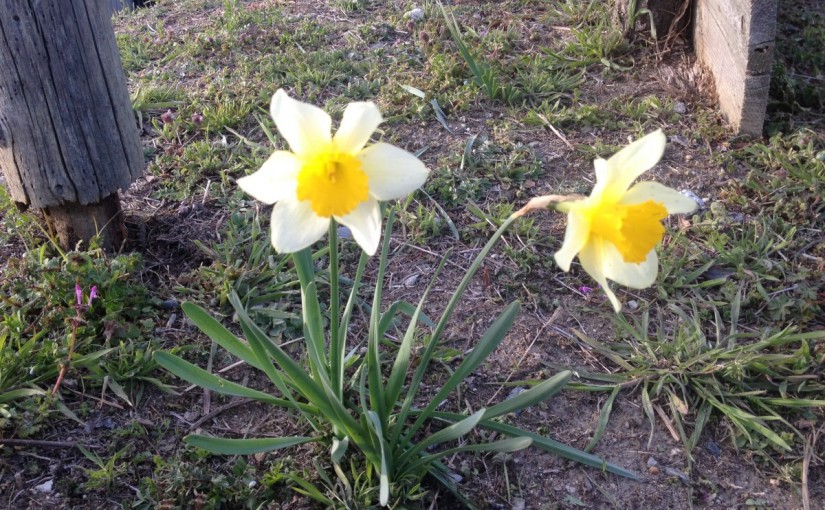 ～乗馬クラブの日々～食いしん坊モカ(愛知県豊田市/エルミオーレ豊田)