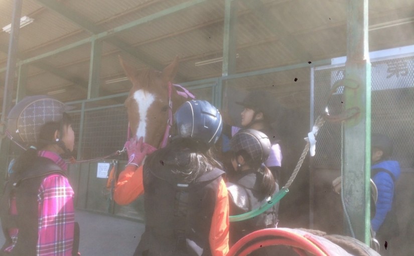 ～乗馬クラブの日々～ジュニア合宿が行われました！(愛知県豊田市/エルミオーレ豊田)