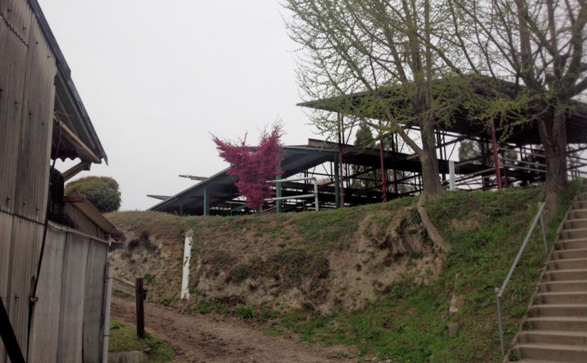 愛知県の乗馬日々☆彡　エルミオーレですごいも写真が！（愛知県豊田市）