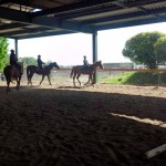 愛知の乗馬の日々☆彡 軽速歩での横木通過!!(愛知県豊田市)