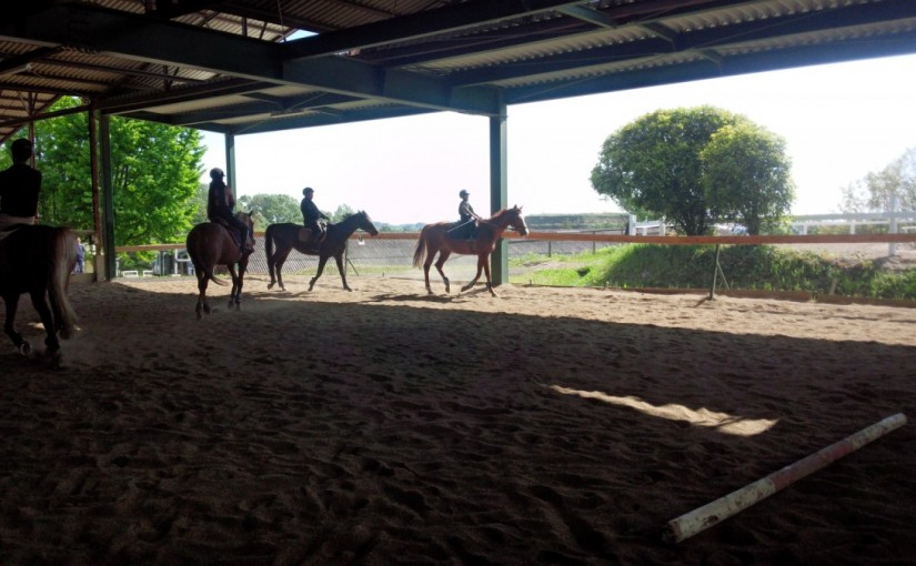 愛知の乗馬の日々☆彡　軽速歩での横木通過！！（愛知県豊田市）
