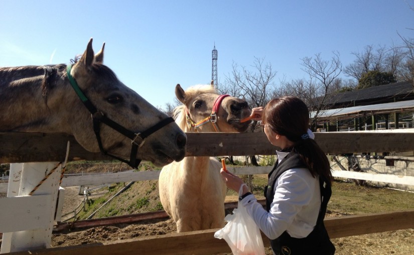～乗馬クラブの日々～馬の好きな食べ物(愛知県豊田市/エルミオーレ豊田)