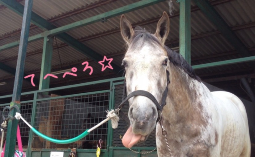 ～乗馬クラブの日々～グループレッスン(愛知県豊田市/エルミオーレ豊田)
