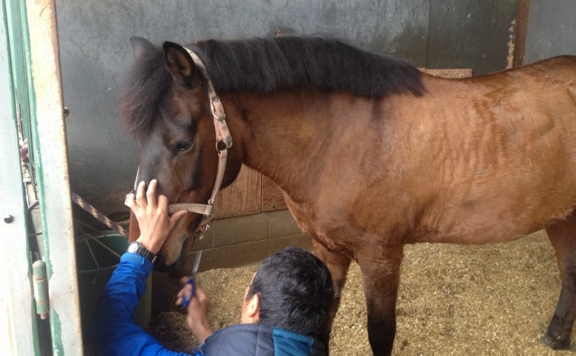 ～乗馬クラブの日々～上田理髪店(愛知県豊田市/エルミオーレ豊田)