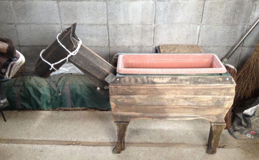 ～乗馬クラブの日々～仔馬誕生(愛知県豊田市/エルミオーレ豊田)