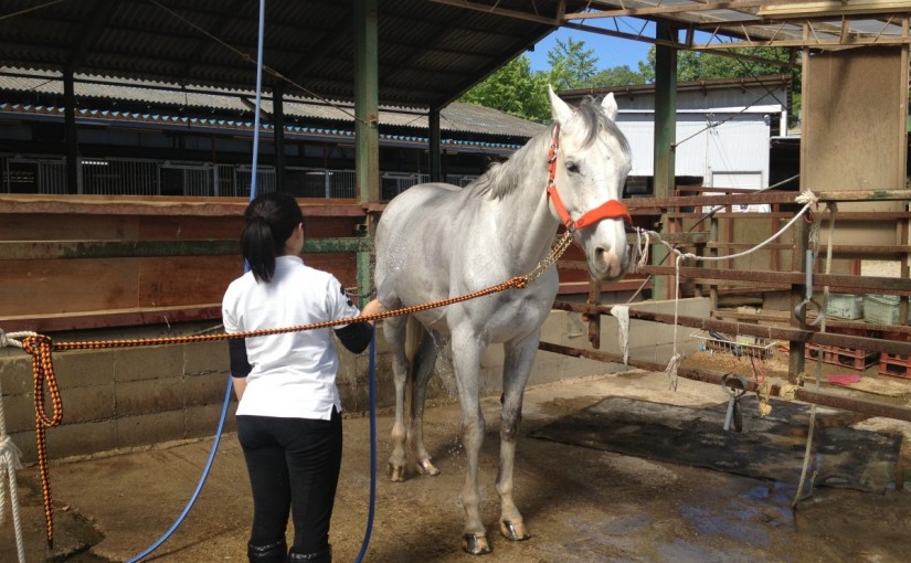 ～乗馬クラブの日々～正確な図形を描く(愛知県豊田市/Ａちゃん)