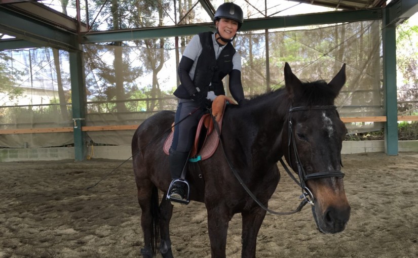 愛知の乗馬クラブの日々〜乗馬を楽しまれているＴさんに乗馬の魅力を伺いました（愛知県岡崎市／Ｔ様）