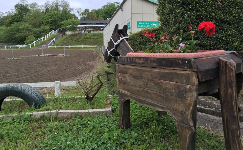 愛知の豊田市の乗馬クラブの日々〜　皆様をお出迎え！