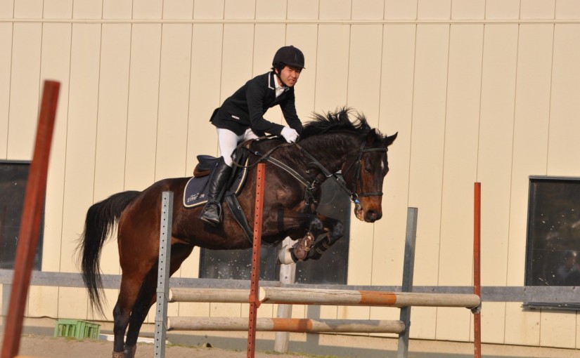 ～乗馬クラブの日々～ オーナーライフ☆　（愛知県名古屋市／Ｈ様）