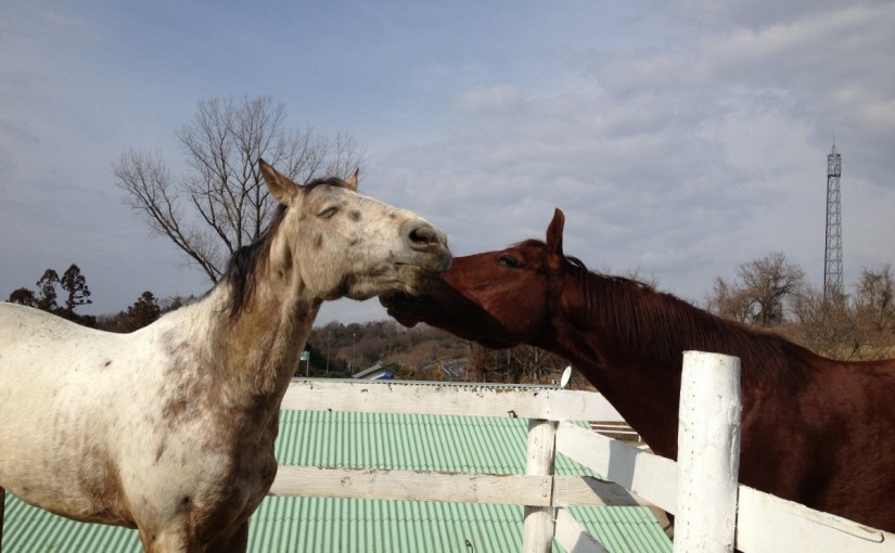 ～乗馬クラブの日々～オシャレは足元から(愛知県豊田市/エルミオーレ豊田)