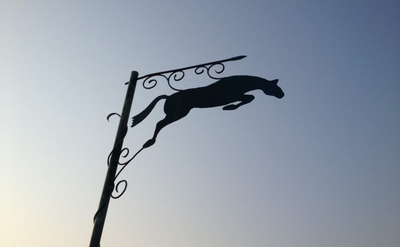 愛知の乗馬クラブの日々〜初めての乗馬体験にお越しいただくI様のレッスンを行いました（愛知県豊田市／I様）