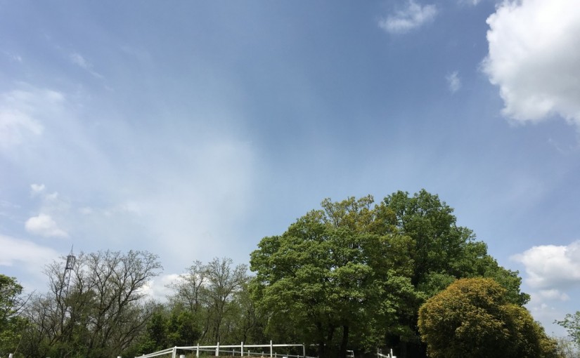 愛知の乗馬クラブの日々〜初めての乗馬体験レッスンを行いました（愛知県豊田市／F様）