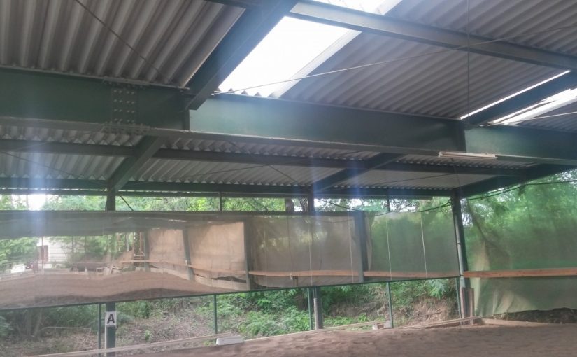 愛知県乗馬クラブの日々☆Ｒａｉｎｎｙ（愛知県豊田市）