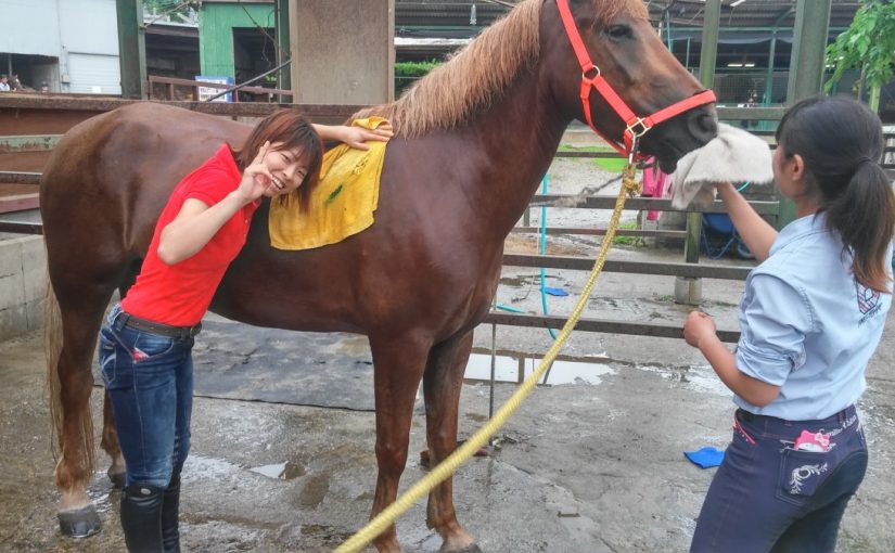 愛知県乗馬クラブの日々☆Sunny＆Rainny（愛知県豊田市）