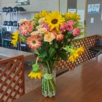 愛知県乗馬クラブの日々☆Cloudy＆Ｒａｉｎｎｙ＆（愛知県豊田市）