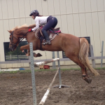 ～乗馬クラブの日々～記録更新（愛知県豊田市/エルミオーレ豊田)