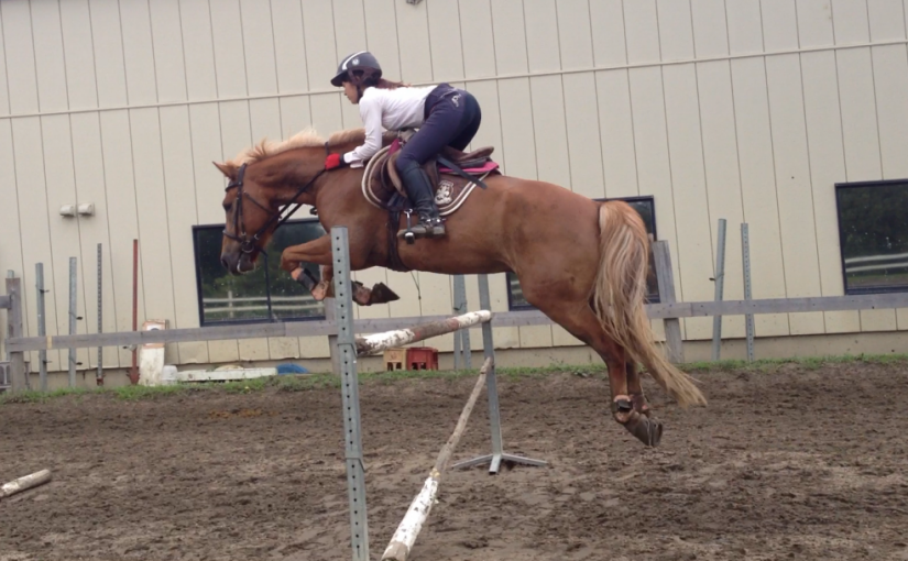 ～乗馬クラブの日々～記録更新（愛知県豊田市/エルミオーレ豊田)