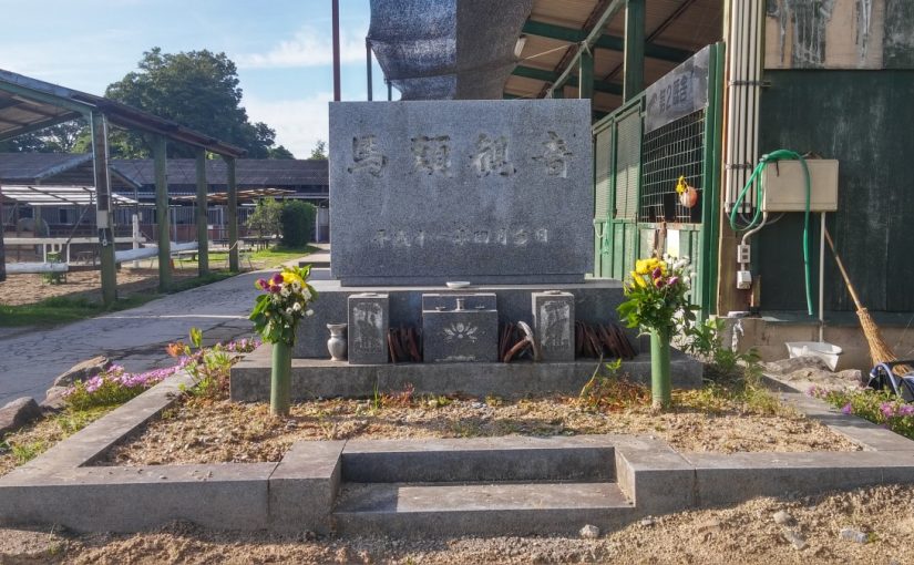 愛知県乗馬クラブの日々☆Sunny（愛知県豊田市）