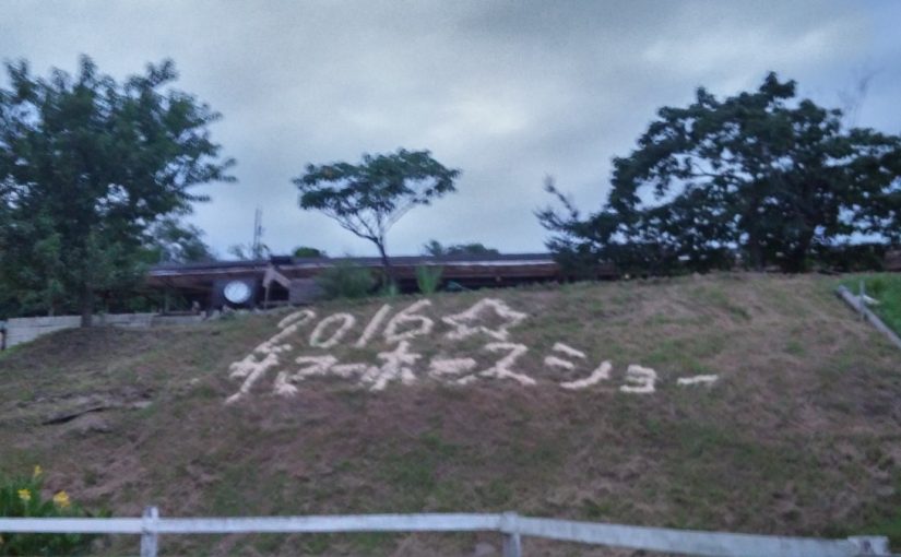 愛知県乗馬クラブの日々☆Sunny（愛知県豊田市）