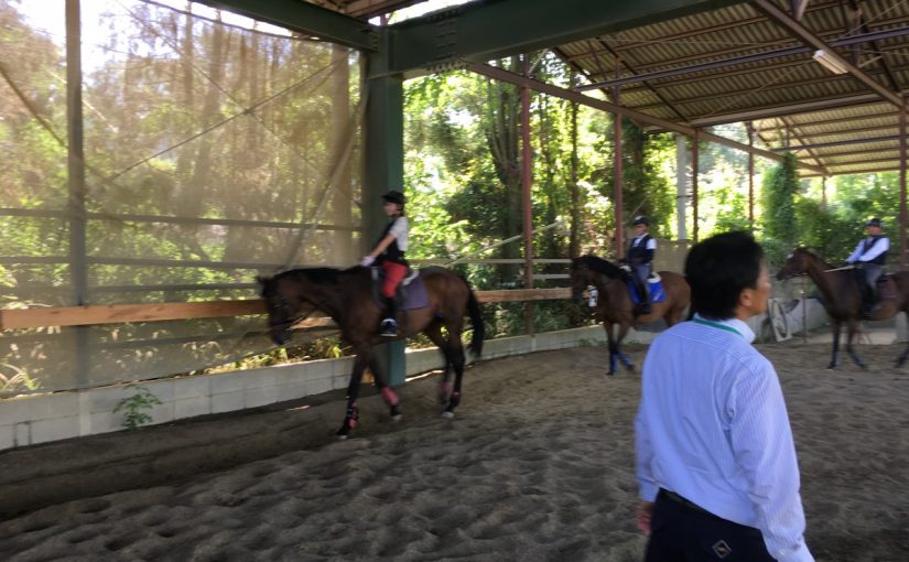 愛知県豊田市の乗馬クラブの日々〜  駈歩レッスン（ミドルクラス）におじゃましました