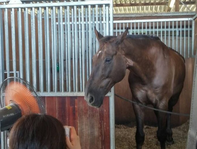～乗馬クラブの日々～(愛知県豊田市/S様)