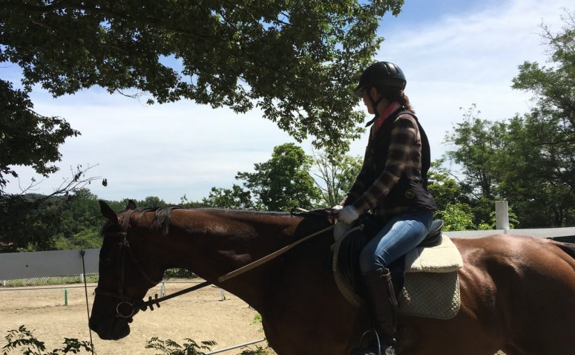 愛知の乗馬クラブの日々〜初めての乗馬体験にお越しいただくＭ様のレッスンを行いました（愛知県名古屋市／Ｍ様）