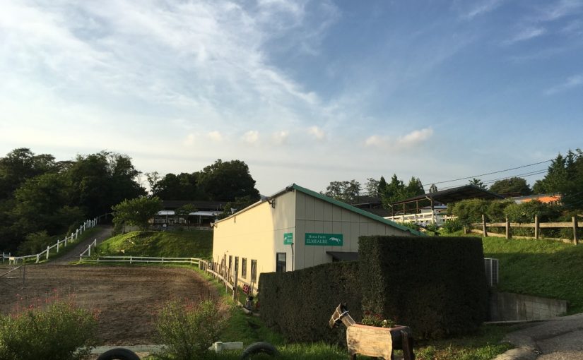 愛知の乗馬クラブの日々〜乗馬を楽しまれているYさんに乗馬の魅力を伺いました（愛知県岡崎市／Y様）