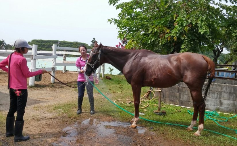 愛知県乗馬クラブの日々☆Sunny（愛知県豊田市）