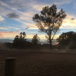 愛知の乗馬クラブの日々〜初めての乗馬体験（HALFDAY）レッスンを行いました（愛知県豊田市／A様）