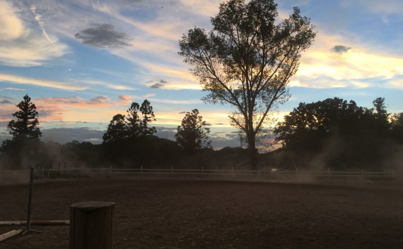 愛知の乗馬クラブの日々〜初めての乗馬体験（HALFDAY）レッスンを行いました（愛知県豊田市／A様）