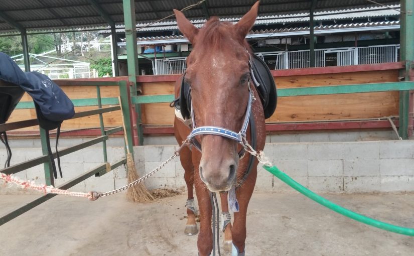 Todays　エルミ→Rainny（愛知県豊田市）