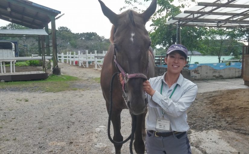 Todays　エルミ→cloudy（愛知県豊田市）