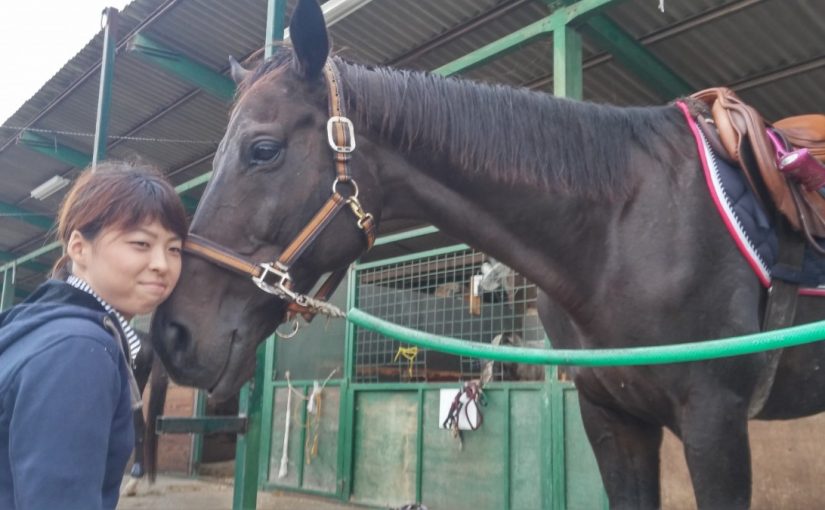 Todays　エルミ→Ｒainny＆cloudy（愛知県豊田市）